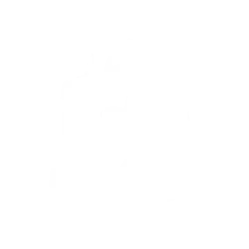 shopify logo